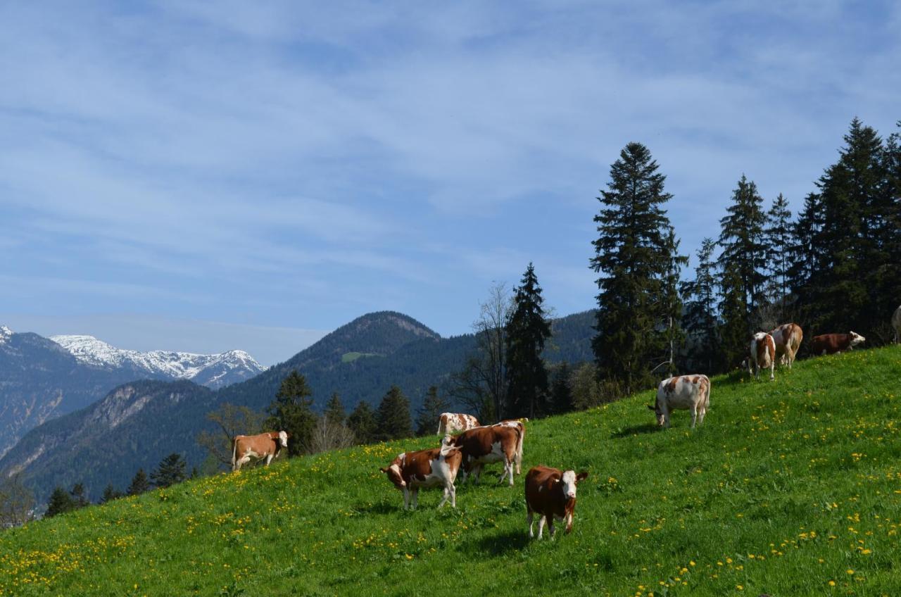 Apart Timeout Hart im Zillertal Eksteriør bilde